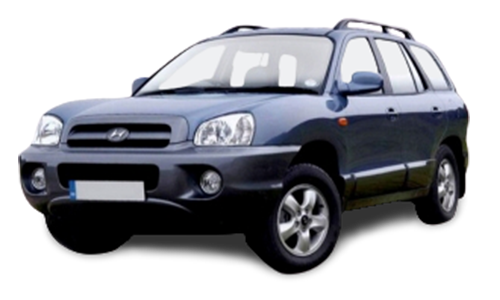 2D коврики EVA в салон  на Hyundai Santa Fe I (2000-2006)